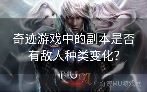 奇迹游戏中的副本是否有敌人种类变化？